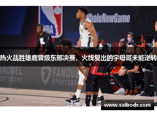 热火战胜雄鹿晋级东部决赛，火线复出的字母哥未能逆转